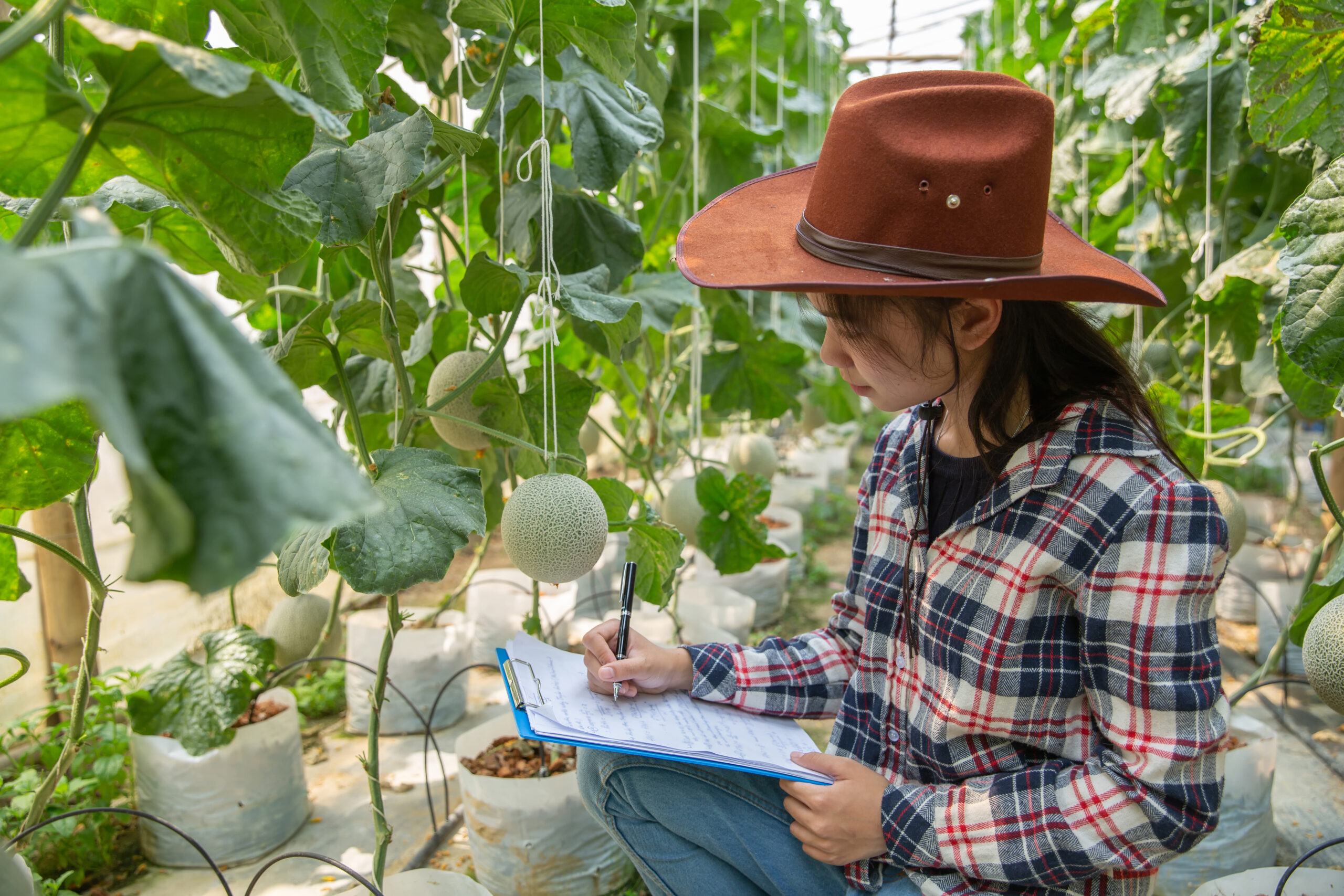 How to Build a Complete Crop Nutrition Plan Using Basfoliar Products
