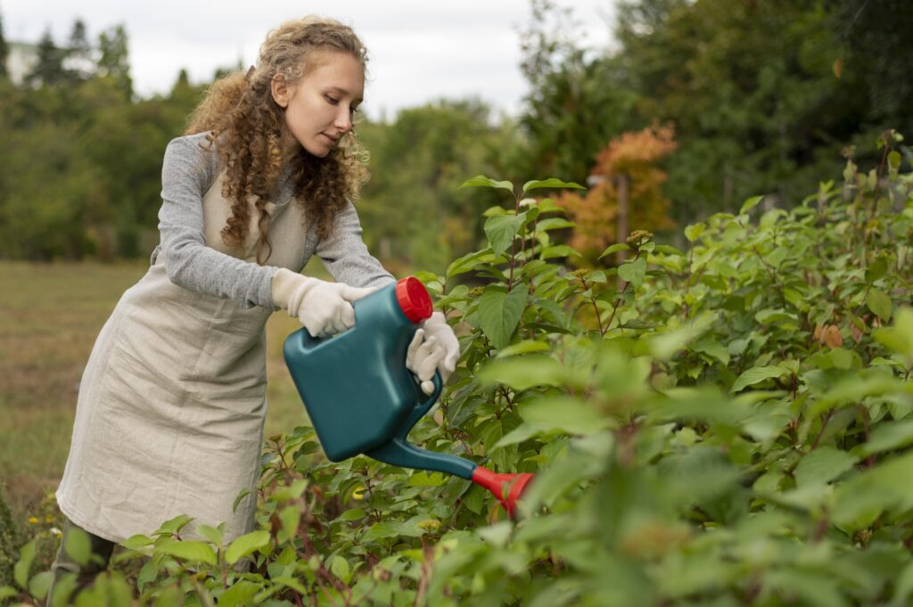 The current image has no alternative text. The file name is: medium-shot-woman-watering-vegetation-scaled.jpg