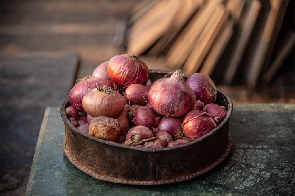 The current image has no alternative text. The file name is: pexels-rajukhanp-4044751-scaled.jpg